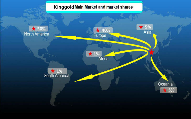 Kangfeng Main Market and market shares_800.jpg