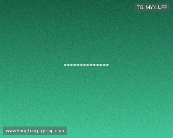 澳门新濠影汇为足球迷提供世界杯现场观赛与互动娱乐一站式体验指南