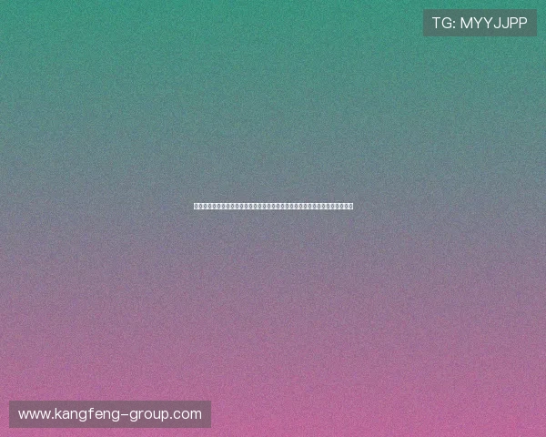 十六浦澳门：澳门十六浦体育场举办的世界杯相关活动与现场互动体验全景报道